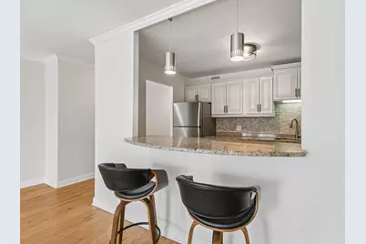260 E Chestnut Street #2505, Chicago, IL 60611 - Photo 5