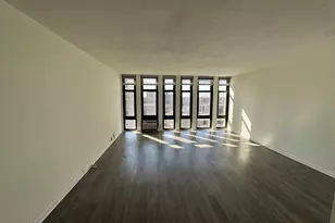 6700 S South Shore Dr, Chicago, IL 60649 - Photo 3