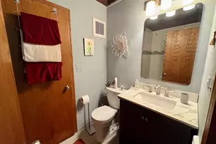 6251 Blackstone Ave, La Grange Highlands, IL 60525 - Photo 15