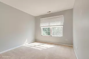 219 S Alder Creek Dr W, Romeoville, IL 60446 - Photo 19