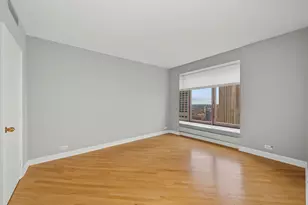 161 E Chicago Ave, Chicago, IL 60611 - Photo 25