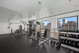 161 E Chicago Ave, Chicago, IL 60611 - Photo 13