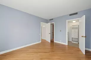 161 E Chicago Ave, Chicago, IL 60611 - Photo 21