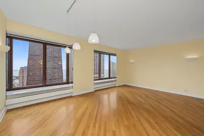 161 E Chicago Avenue #36G, Chicago, IL 60611 - Photo 23