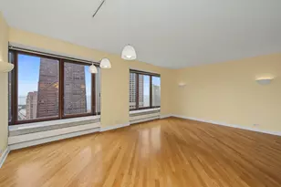 161 E Chicago Ave, Chicago, IL 60611 - Photo 23