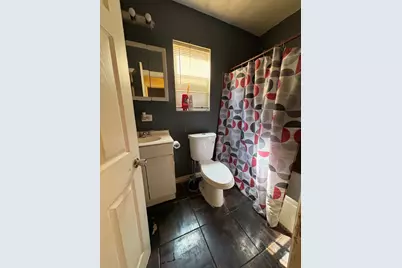 253 W 43rd Street, Chicago, IL 60609 - Photo 9