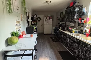 253 W 43rd St, Chicago, IL 60609 - Photo 5