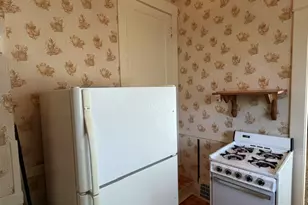 521 Wilcox St, Joliet, IL 60435 - Photo 15