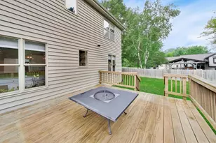1228 N Jack Pine Ct, Palatine, IL 60067 - Photo 53