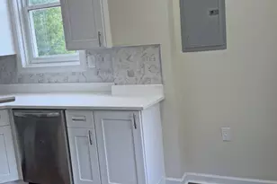 1141 S St Louis Ave, Chicago, IL 60624 - Photo 5