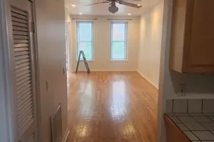 708 S Ada St, Chicago, IL 60607 - Photo 35