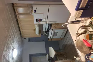 708 S Ada St, Chicago, IL 60607 - Photo 47