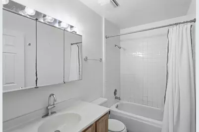 6957 S East End Avenue, Chicago, IL 60649 - Photo 9