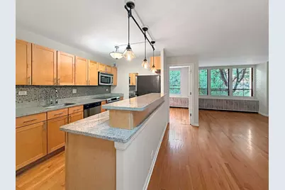 222 E Pearson Street #404, Chicago, IL 60611 - Photo 5