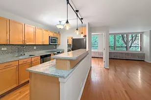 222 E Pearson St, Chicago, IL 60611 - Photo 5