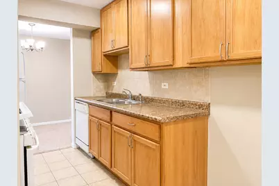 8 Oak Creek Drive #3803, Buffalo Grove, IL 60089 - Photo 17