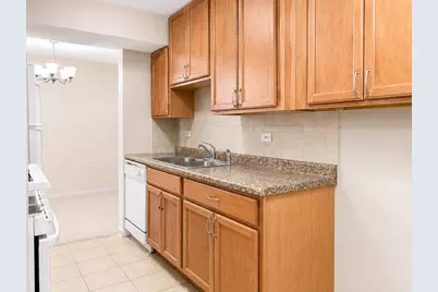 8 Oak Creek Drive #3803, Buffalo Grove, IL 60089 - Photo 9
