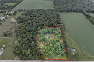 5016 Kell Rd, Kell, IL 62853 - Photo 41