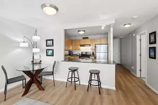 30 E Huron St, Chicago, IL 60611 - Photo 13
