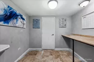 4909 Spencer Ave, Lisle, IL 60532 - Photo 23
