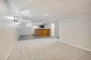 248 E Schick Rd, Bloomingdale, IL 60108 - Photo 17