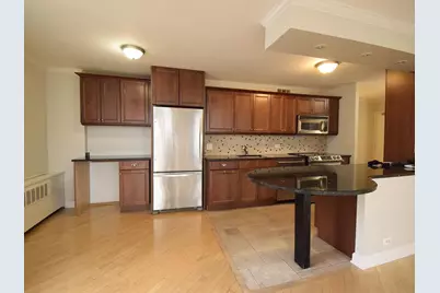 1360 N Sandburg Terrace #2101, Chicago, IL 60610 - Photo 3