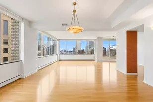 1000 N Lake Shore Plaza, Chicago, IL 60611 - Photo 3