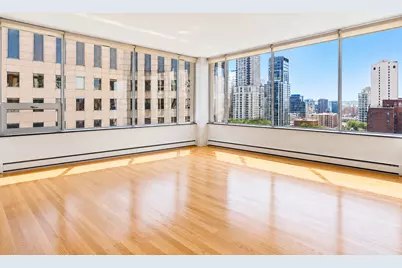 1000 N Lake Shore Plaza #24C, Chicago, IL 60611 - Photo 5