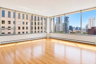 1000 N Lake Shore Plaza, Chicago, IL 60611 - Photo 5