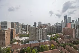 1355 N Sandburg Terrace, Chicago, IL 60610 - Photo 19