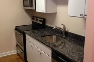 535 N Michigan Ave, Chicago, IL 60611 - Photo 5