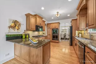 701 Kelly Ct, Roselle, IL 60172 - Photo 17