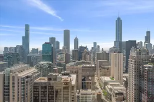161 E Chicago Ave, Chicago, IL 60611 - Photo 25