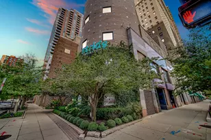 40 E 9th St, Chicago, IL 60605 - Photo 3