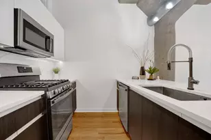 1151 W 15th St, Chicago, IL 60608 - Photo 11