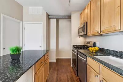 811 S Lytle Street #416, Chicago, IL 60607 - Photo 5