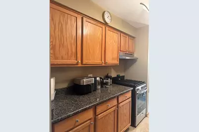 6023 W 64th Place #9, Chicago, IL 60638 - Photo 5