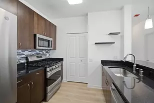 757 N Orleans St, Chicago, IL 60654 - Photo 9