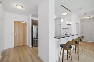 757 N Orleans St, Chicago, IL 60654 - Photo 7