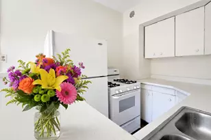 1205 W Sherwin Ave, Chicago, IL 60626 - Photo 5