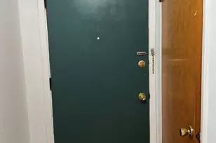 7229 N Campbell Ave, Chicago, IL 60645 - Photo 13