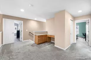 26428 Rustling Birch Way, Plainfield, IL 60585 - Photo 17