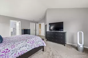 26428 Rustling Birch Way, Plainfield, IL 60585 - Photo 19