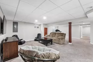 26428 Rustling Birch Way, Plainfield, IL 60585 - Photo 31