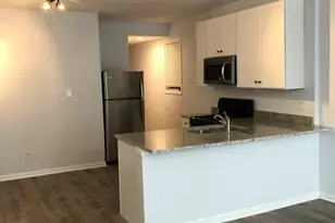 2447 W Polk St, Chicago, IL 60612 - Photo 7