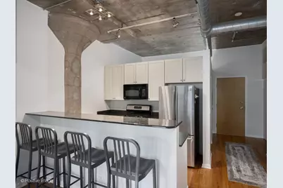 1070 W 15th Street #309, Chicago, IL 60608 - Photo 9