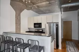 1070 W 15th St, Chicago, IL 60608 - Photo 9