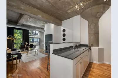 1070 W 15th Street #309, Chicago, IL 60608 - Photo 11