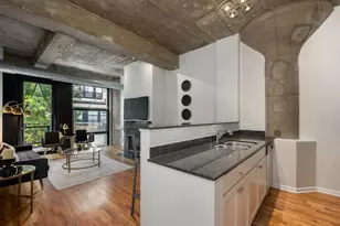 1070 W 15th St, Chicago, IL 60608 - Photo 11