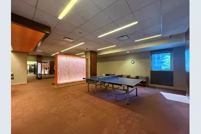 400 E Randolph Street #3302, Chicago, IL 60601 - Photo 29